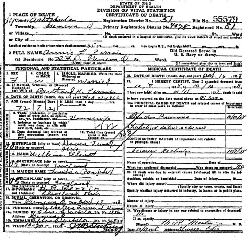 Death certificate of Anna Luella Elliott Perrin, twin sister of Fanny Idella Elliott Keyes.